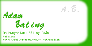 adam baling business card